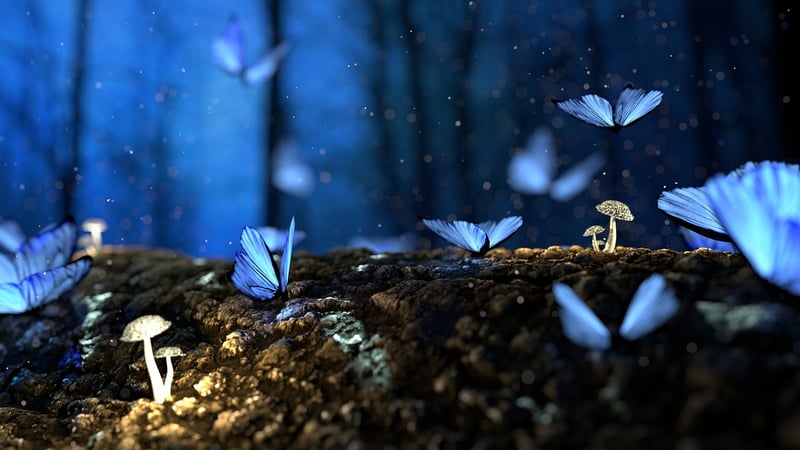 Enchanted Sweets